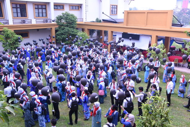 297 DSC 0382